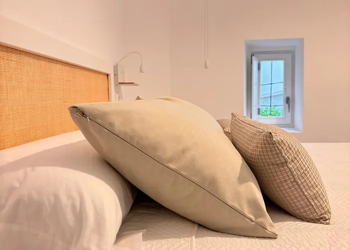 Noite 1 بونتيفيذرا