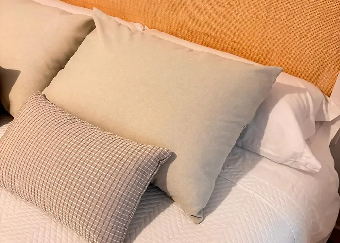 Noite 1 بونتيفيذرا